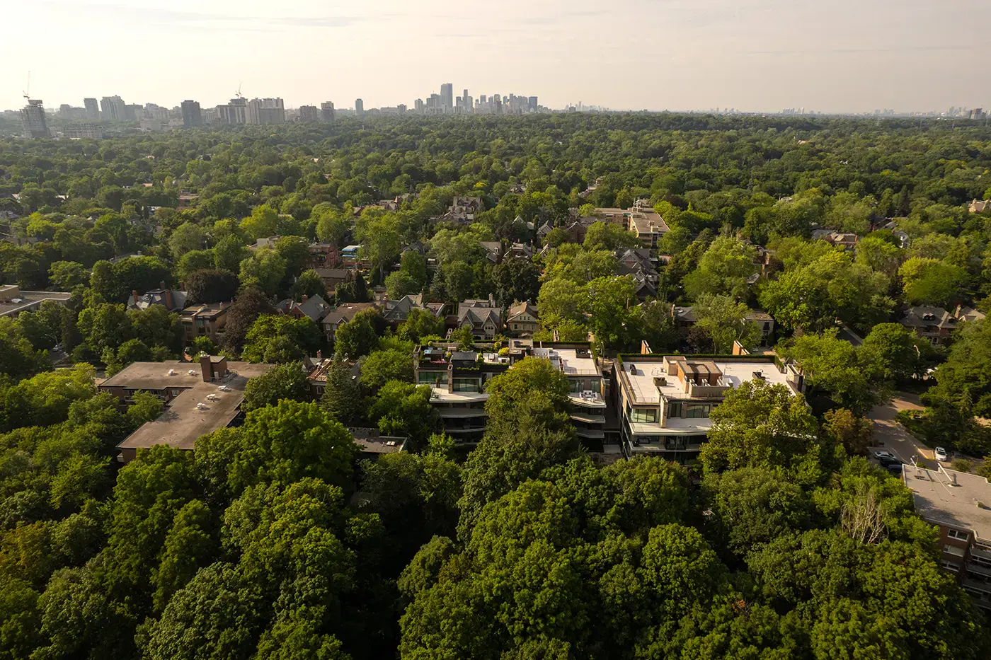 No. 7 Dale Neighbourhood