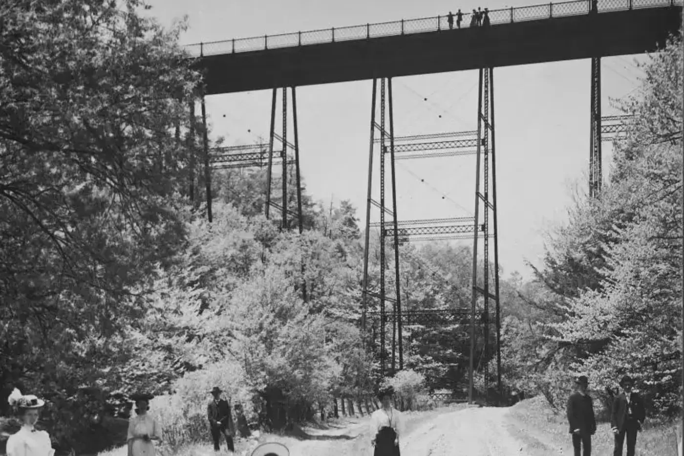 No. 7 Dale Neighbourhood